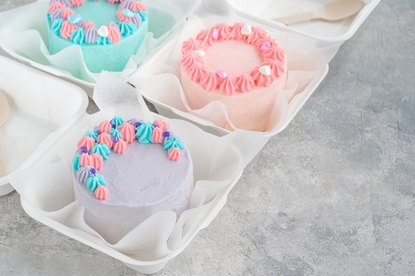 Summer Camp: Dessert Daydreams